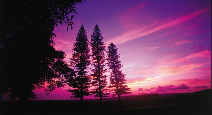 Image courtesy of Hawaii Visitors and Convention Bureau
