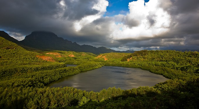 Image courtesy of Hawaii Visitors and Convention Bureau