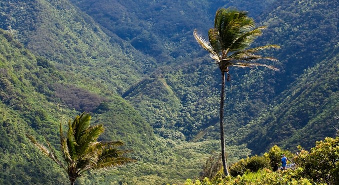 Image courtesy of Hawaii Visitors and Convention Bureau