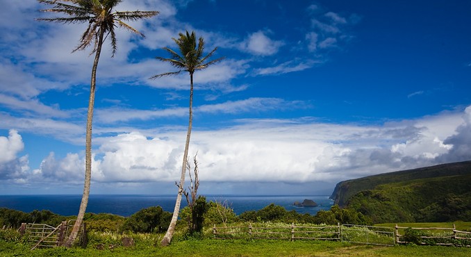 Image courtesy of Hawaii Visitors and Convention Bureau