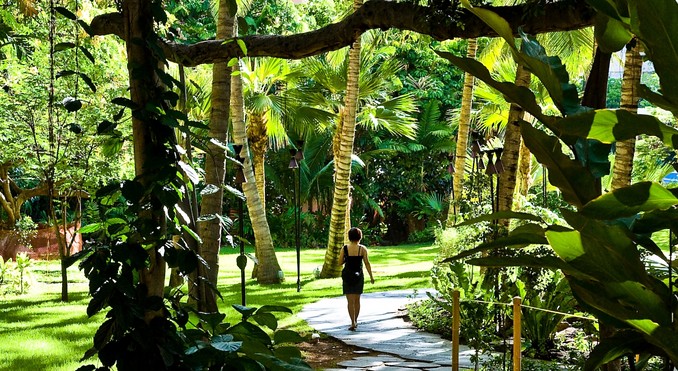 Image courtesy of Hawaii Visitors and Convention Bureau