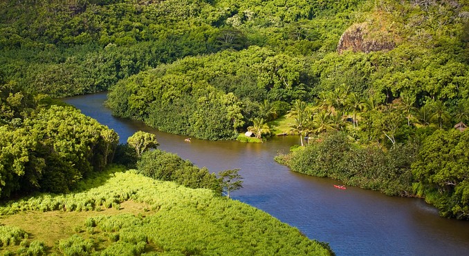 Image courtesy of Hawaii Visitors and Convention Bureau