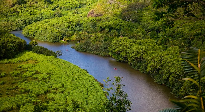 Image courtesy of Hawaii Visitors and Convention Bureau