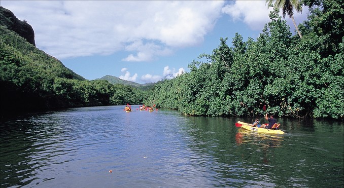 Image courtesy of Hawaii Visitors and Convention Bureau