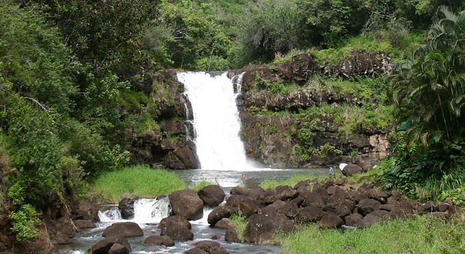 Image courtesy of Hawaii Visitors and Convention Bureau