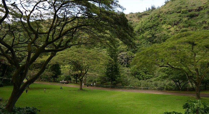 Image courtesy of Hawaii Visitors and Convention Bureau
