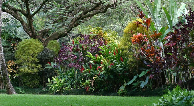 Image courtesy of Hawaii Visitors and Convention Bureau