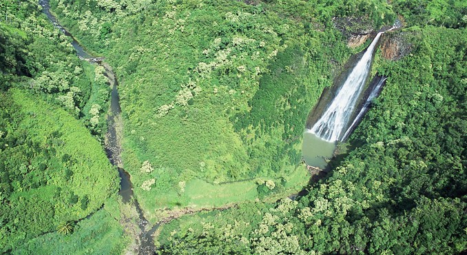 Image courtesy of Hawaii Visitors and Convention Bureau