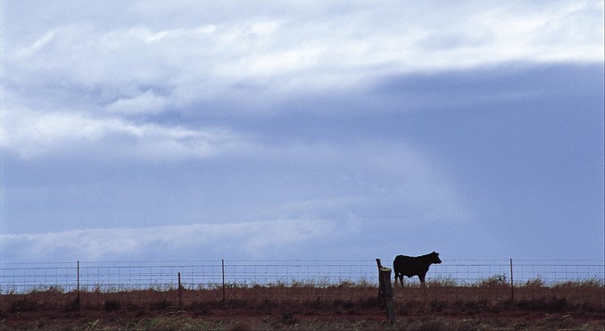 Image courtesy of Hawaii Visitors and Convention Bureau