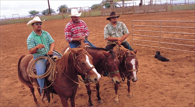 Image courtesy of Hawaii Visitors and Convention Bureau