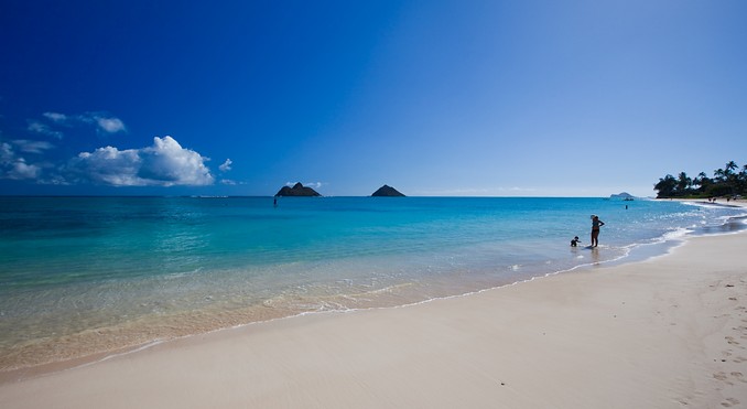 Image courtesy of Hawaii Visitors and Convention Bureau