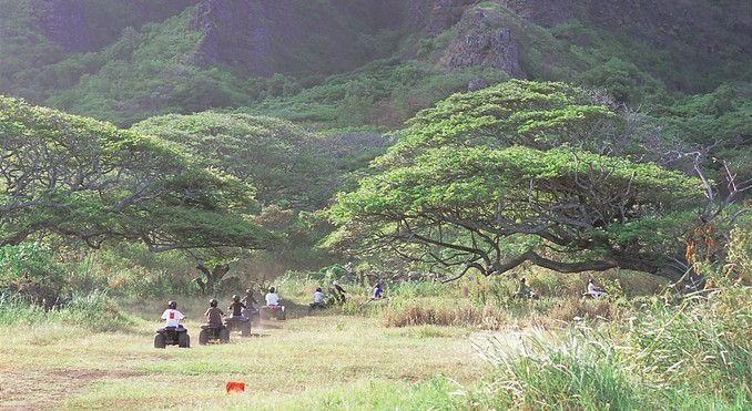 Image courtesy of Hawaii Visitors and Convention Bureau