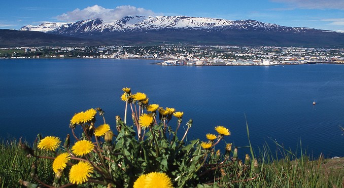 Image courtesy of Iceland Tourism / Colin Aantill
