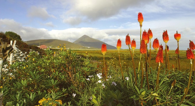Image courtesy of Tourism Ireland