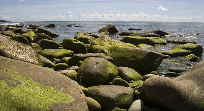 Image courtesy of Tourism Ireland