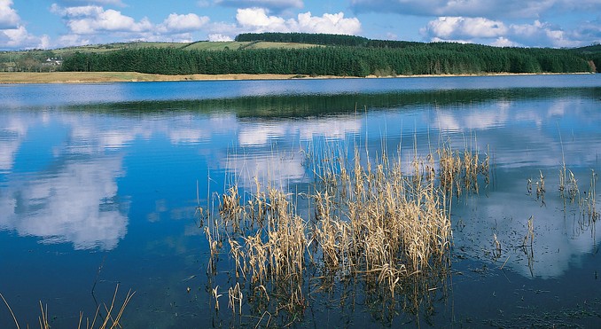 Image courtesy of Tourism Ireland