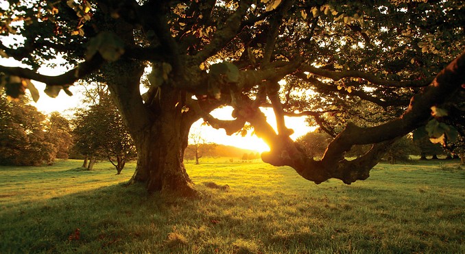Image courtesy of Tourism Ireland
