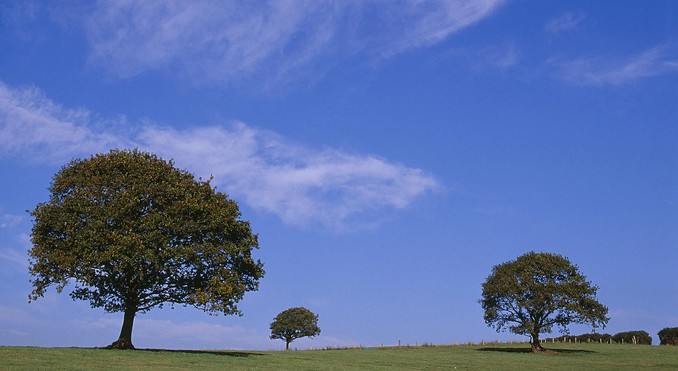 Image courtesy of Tourism Ireland