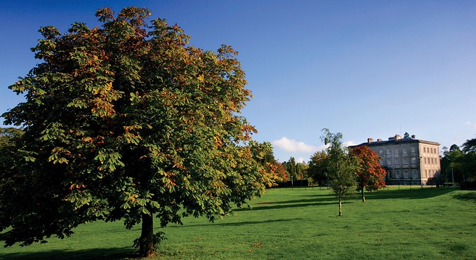Image courtesy of Tourism Ireland