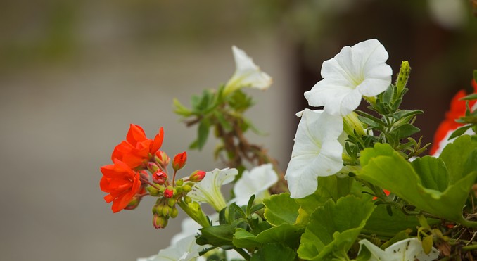 Image courtesy of Tourism Media