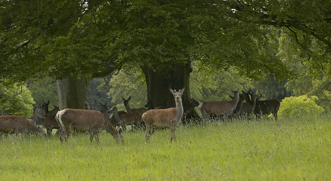 Image courtesy of Tourism Media