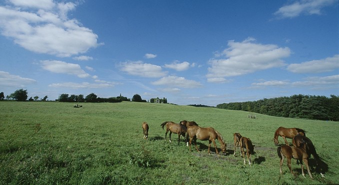 Image courtesy of Tourism Ireland