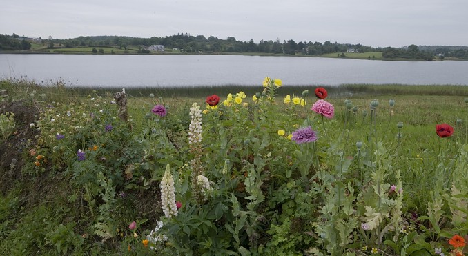 Image courtesy of Tourism Ireland