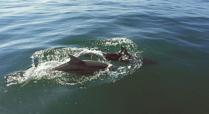 Image courtesy of Tourism Ireland