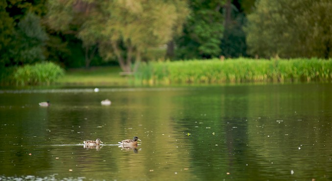 Image courtesy of Tourism Media