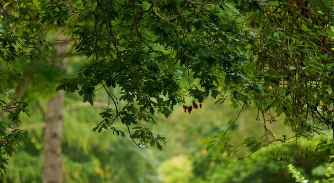 Image courtesy of Tourism Media