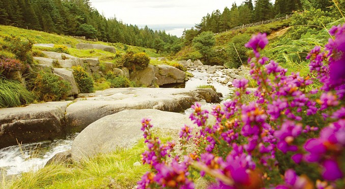 Image courtesy of Tourism Ireland