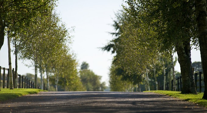 Image courtesy of Tourism Media