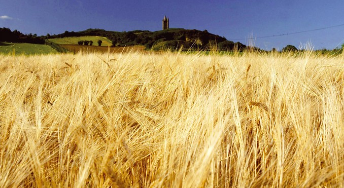 Image courtesy of Tourism Ireland