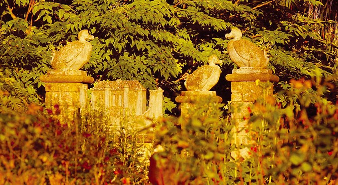 Image courtesy of Tourism Ireland