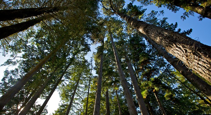 Image courtesy of Tourism Media