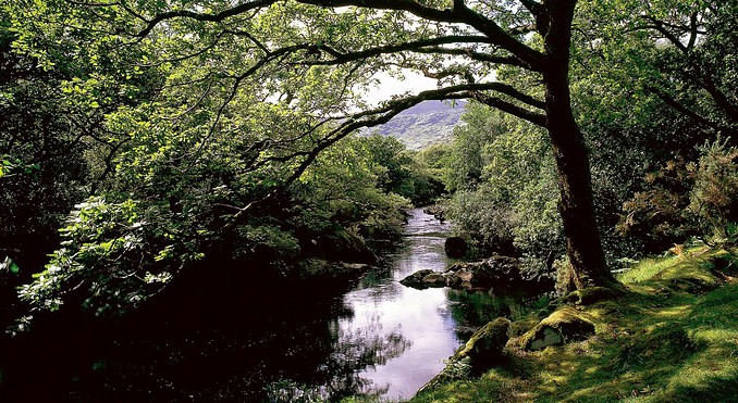 Image courtesy of Tourism Ireland