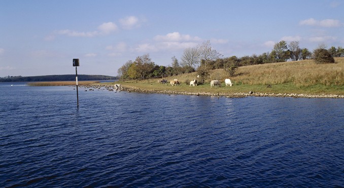 Image courtesy of Tourism Ireland