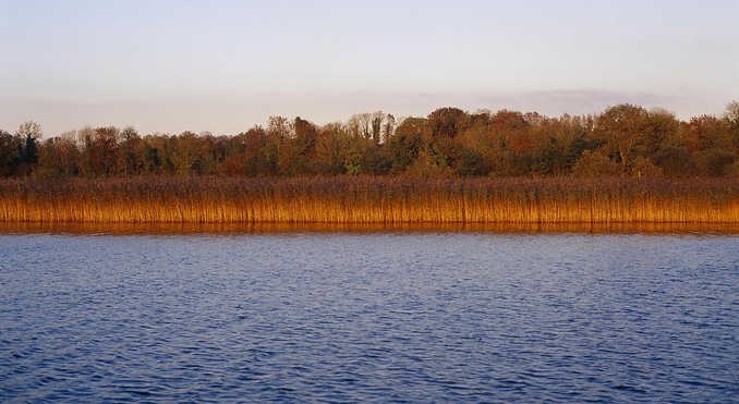 Image courtesy of Tourism Ireland