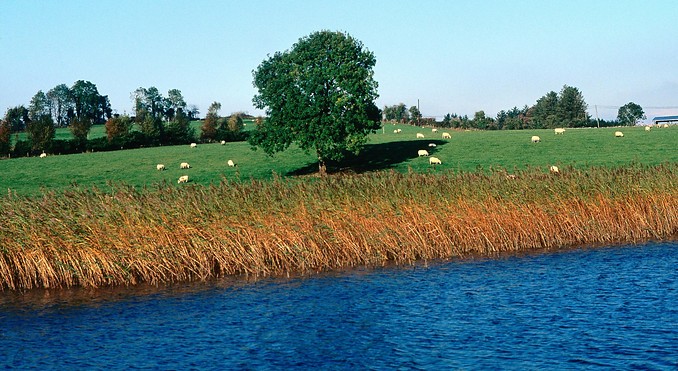 Image courtesy of Tourism Ireland