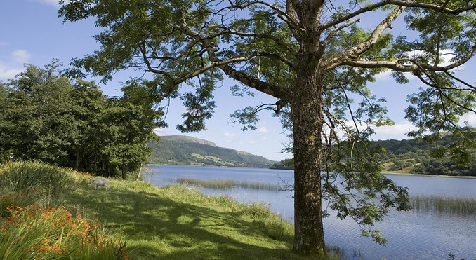 Image courtesy of Tourism Ireland