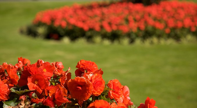 Image courtesy of Tourism Media