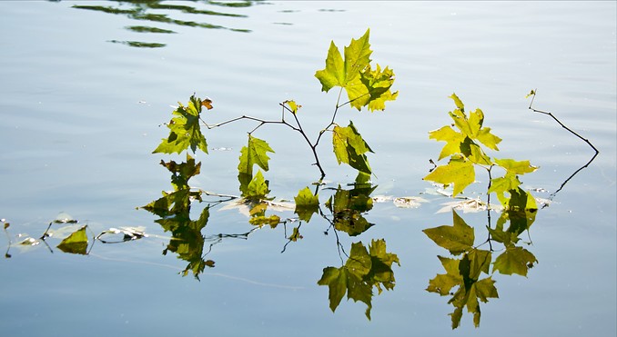 Image courtesy of Tourism Media