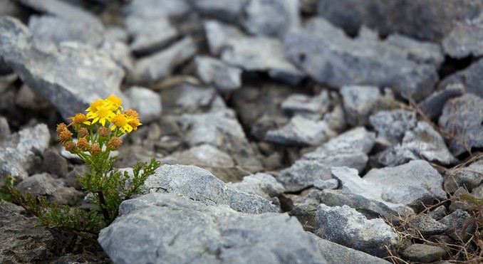 Image courtesy of Tourism Media