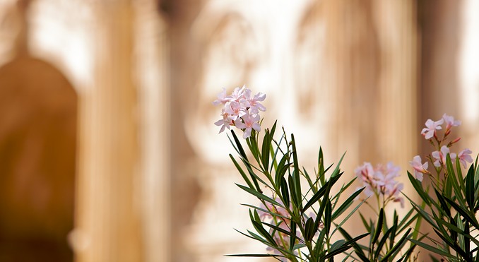 Image courtesy of Tourism Media