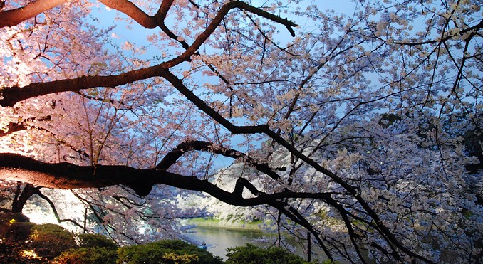 Image courtesy of JNTO