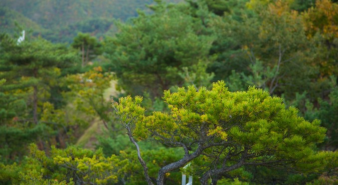 Image courtesy of Tourism Media