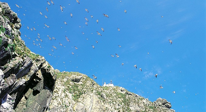 Image courtesy of Korea Tourism Organization