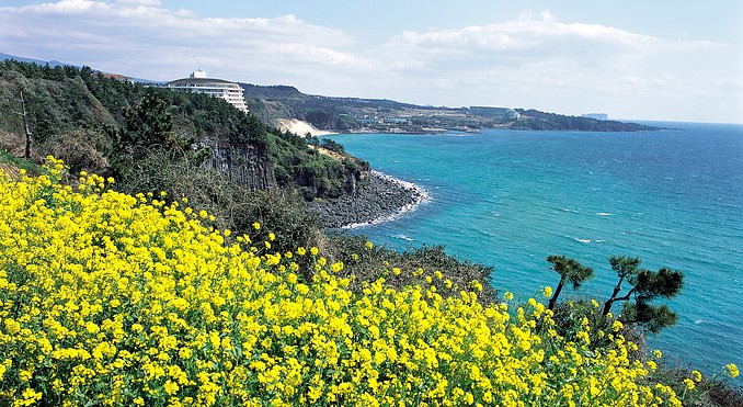 Image courtesy of Korea Tourism Organization