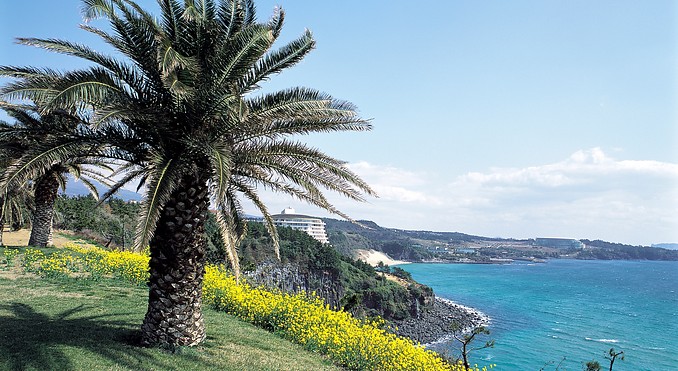Image courtesy of Korea Tourism Organization