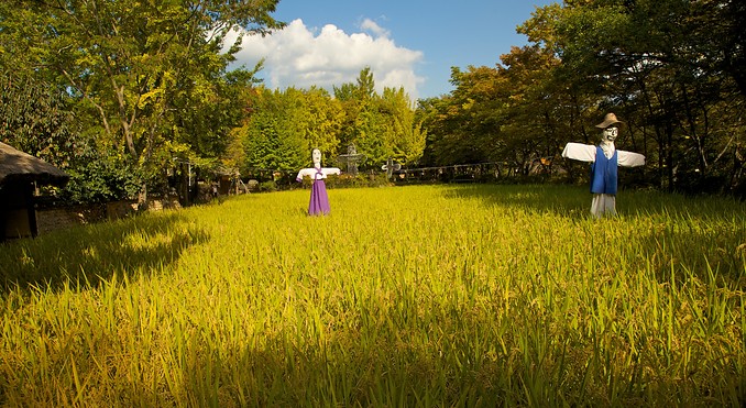 Korean Folk Village